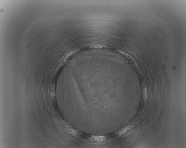 X0000066510665200603311731