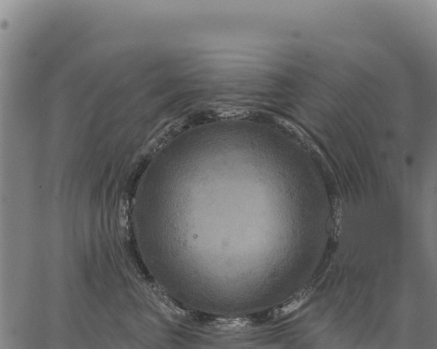 X0000066510667200603311731