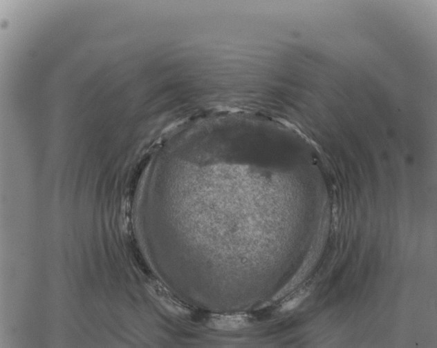 X0000066510671200603311731