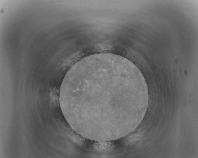 X0000066510672200603311731