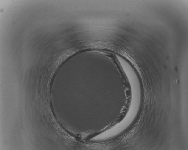 X0000066510673200603311730