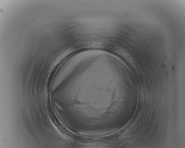 X0000066510674200603311730