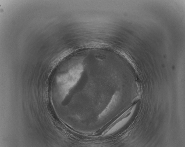 X0000066510675200603311730