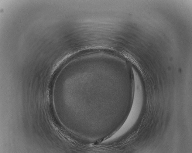 X0000066510676200603311730