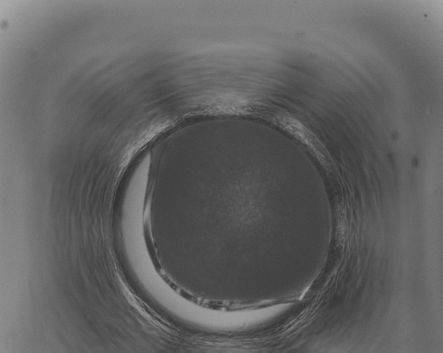 X0000066510677200603311730