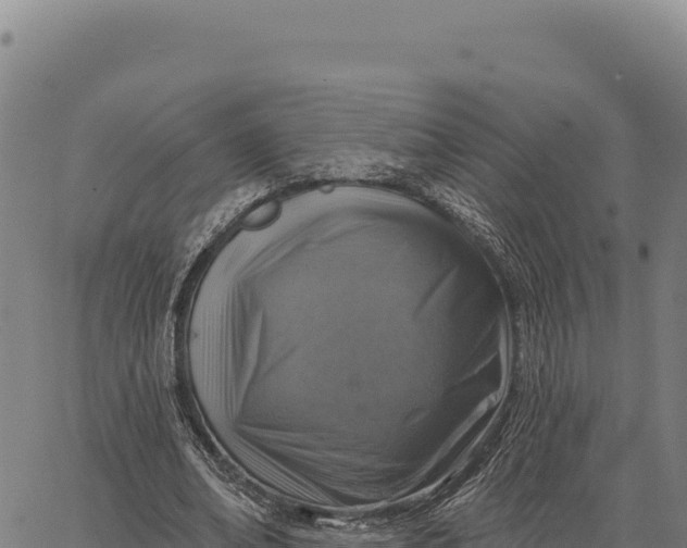 X0000066510678200603311730