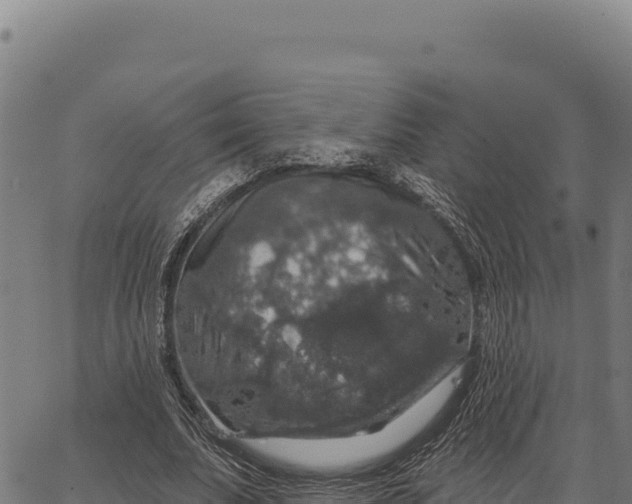 X0000066510679200603311730