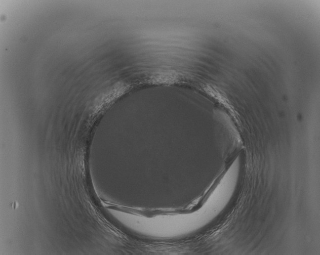 X0000066510681200603311730