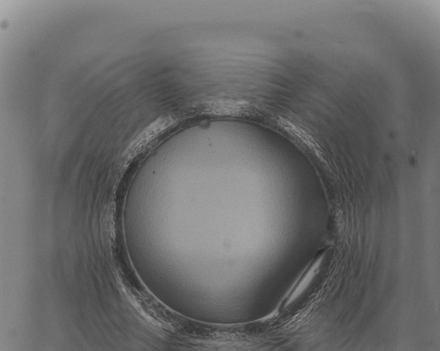 X0000066510682200603311730