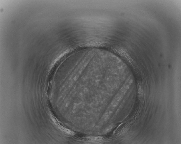 X0000066510684200603311730