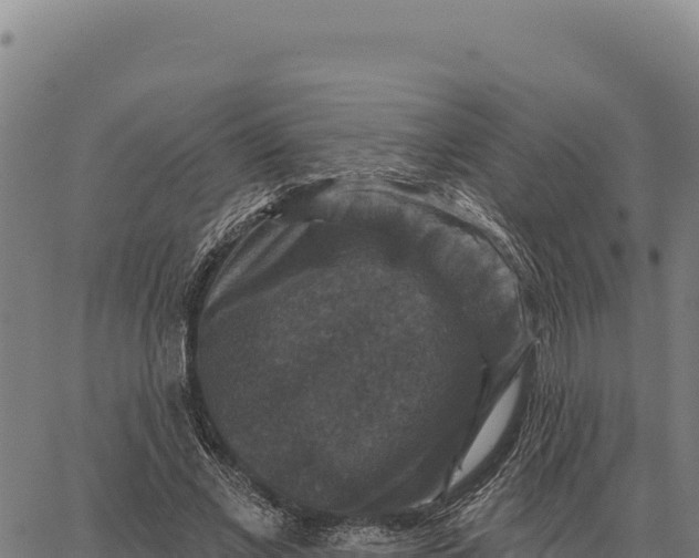 X0000066510685200603311730