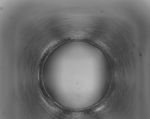 X0000066510686200603311730