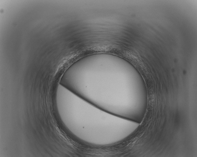 X0000066510688200603311730