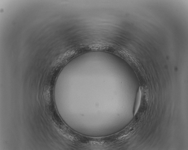 X0000066510690200603311730