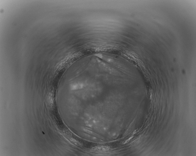 X0000066510691200603311730