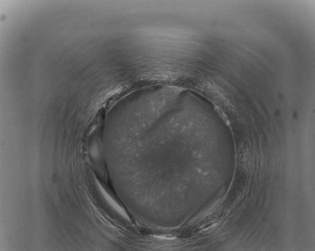 X0000066510692200603311730