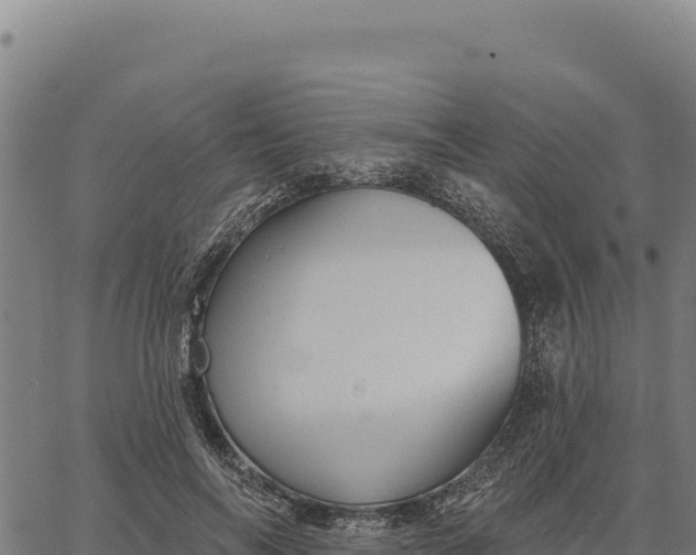 X0000066510694200603311730