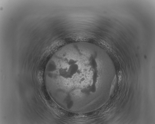 X0000066510695200603311730