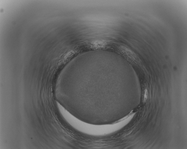 X0000066510700200603311730