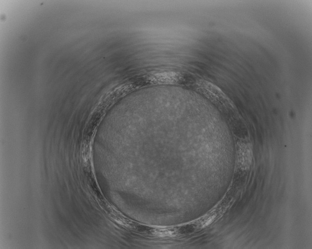 X0000066510701200603311730