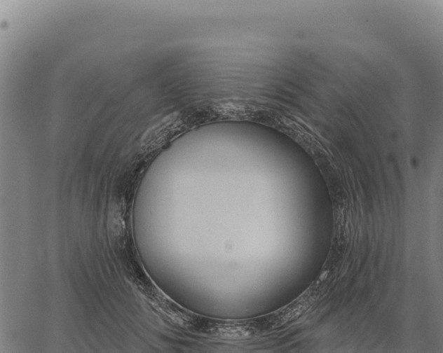 X0000066510702200603311730