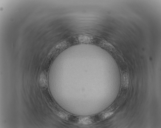 X0000066510705200603311730