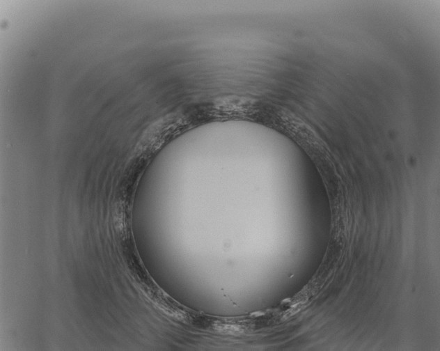 X0000066510706200603311730