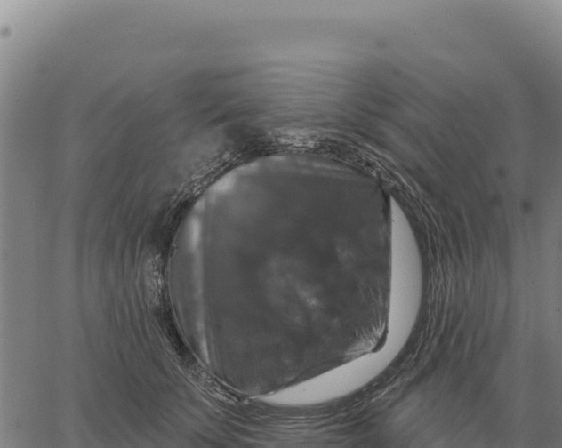 X0000066510707200603311730