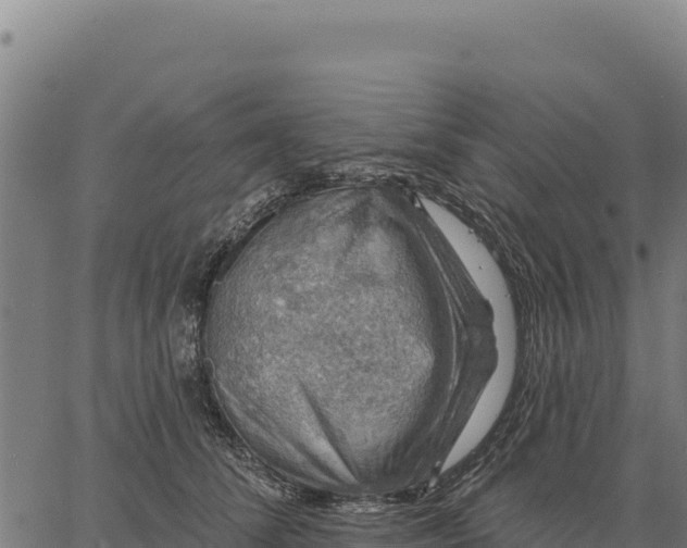 X0000066510708200603311729