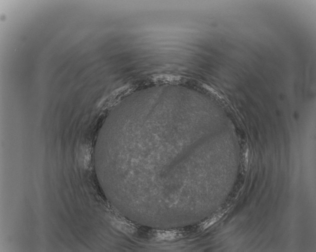 X0000066510709200603311729