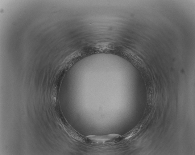 X0000066510710200603311729