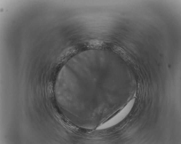 X0000066510711200603311729