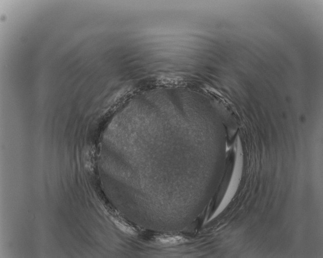 X0000066510712200603311729