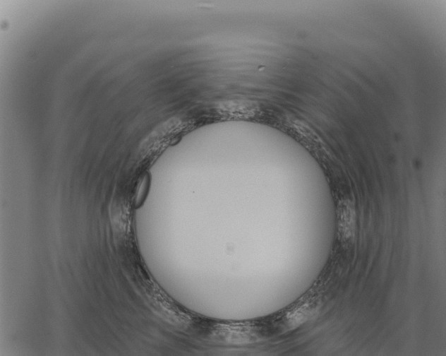 X0000066510713200603311729