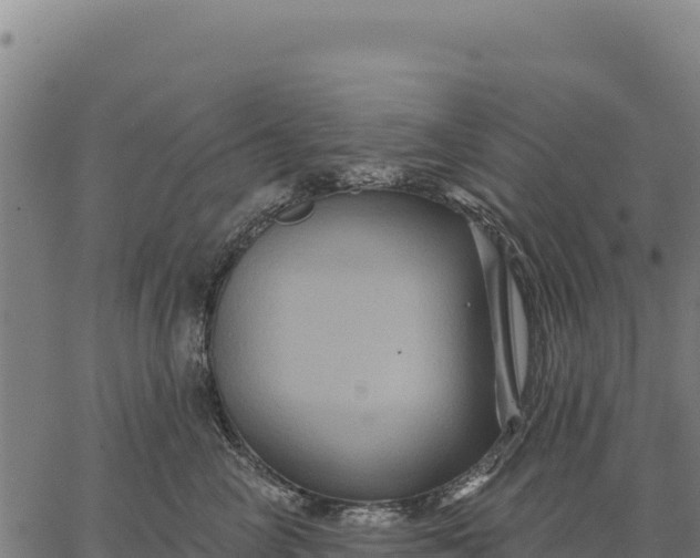 X0000066510714200603311729