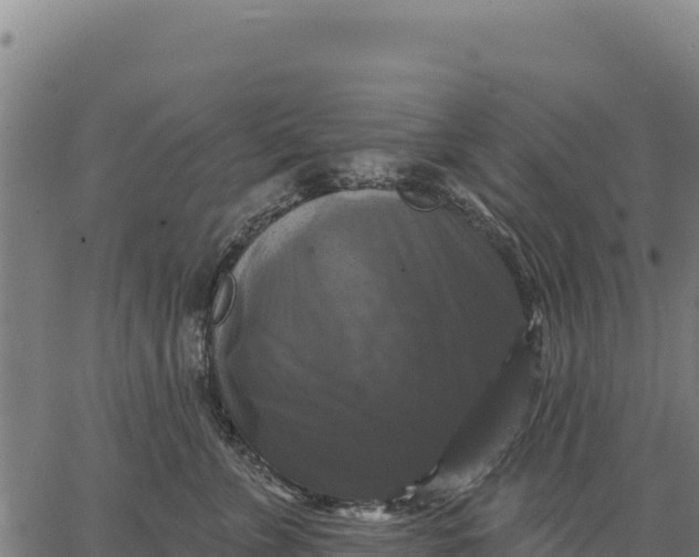 X0000066510715200603311729