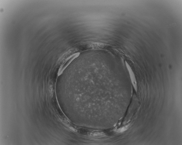 X0000066510716200603311729