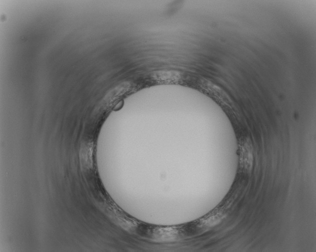 X0000066510717200603311729