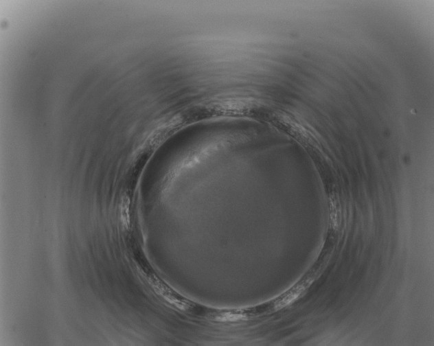 X0000066510718200603311729