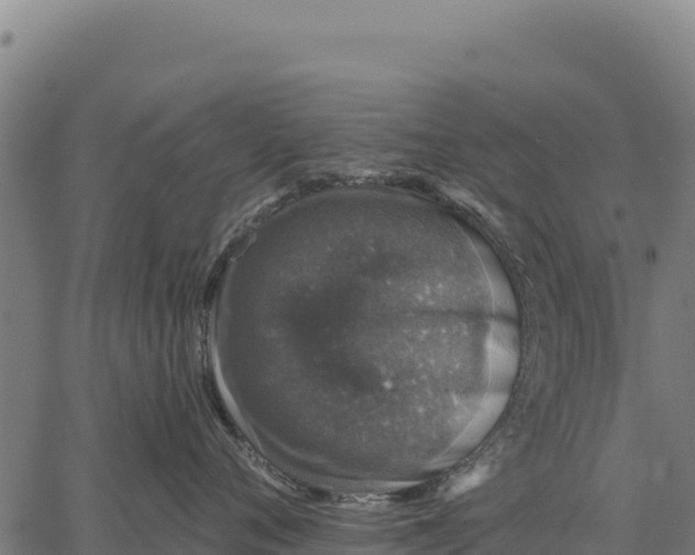 X0000066510720200603311729