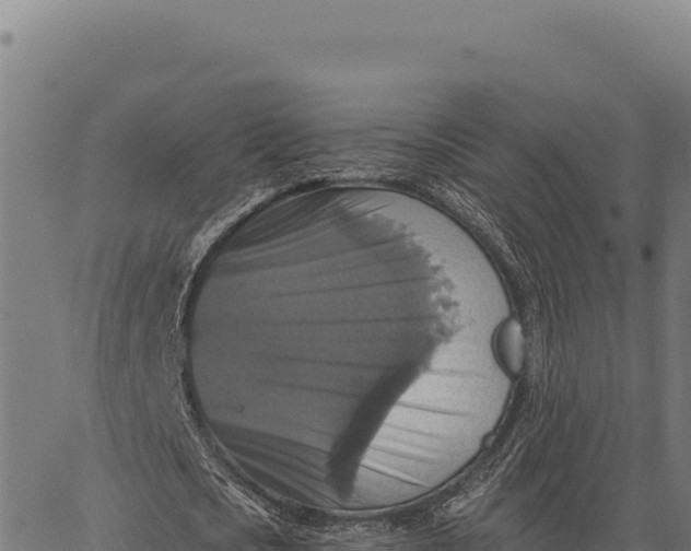 X0000066510721200603311728