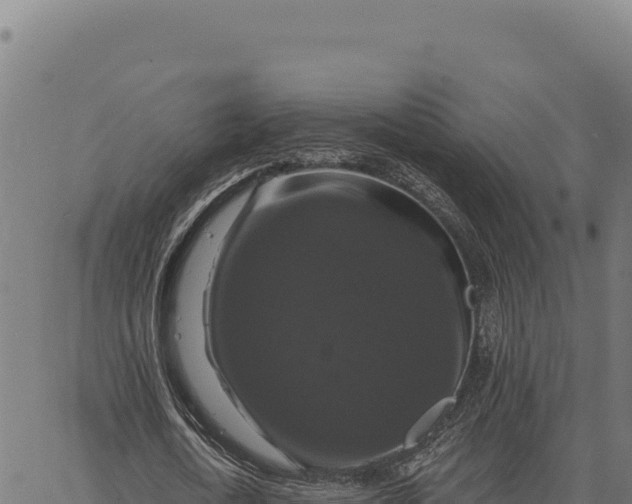 X0000066510722200603311729