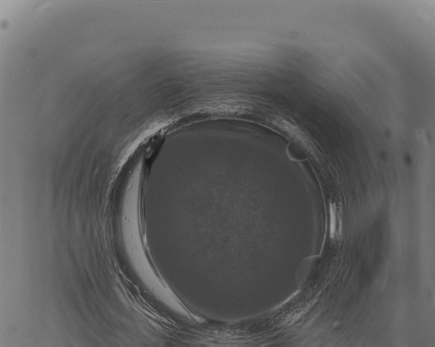 X0000066510723200603311729