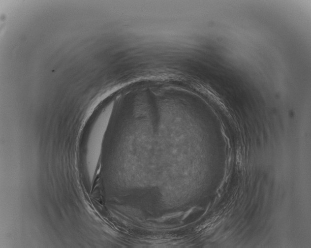 X0000066510724200603311729