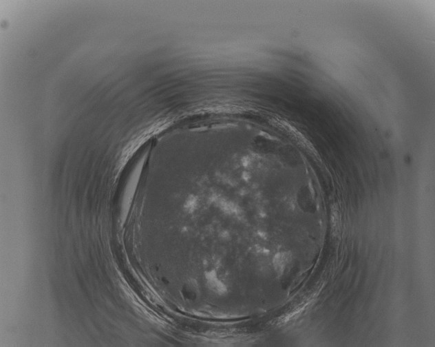 X0000066510725200603311729