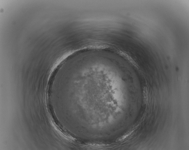 X0000066510726200603311729