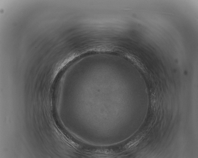 X0000066510727200603311729