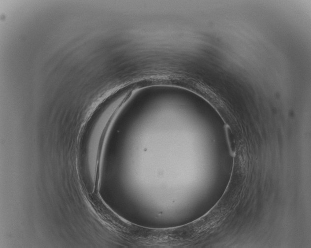 X0000066510728200603311729