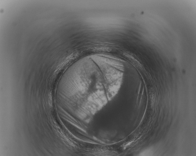 X0000066510729200603311729