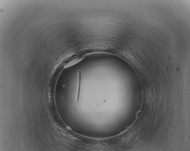 X0000066510731200603311729